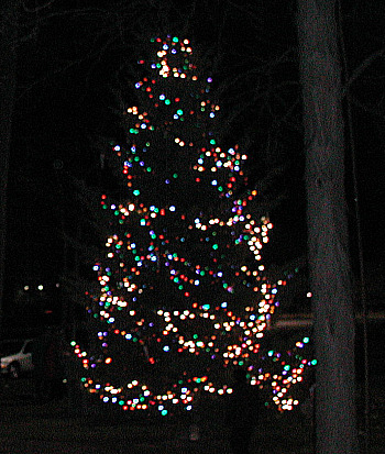 Briarwood Tree Lighting Lit Tree.JPG