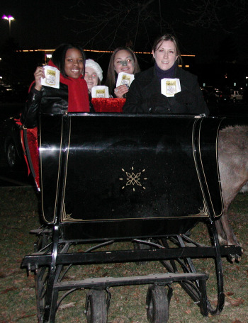 Briarwood Tree Lighting Sleigh with Nestle.JPG