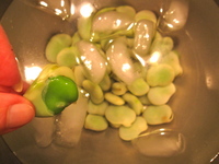 lampman, shelling fava beans