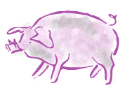 ChapmanPig