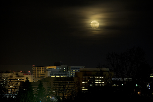 040110-West-Park-moon.jpg