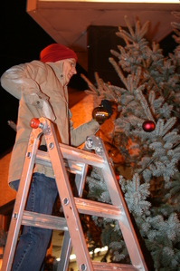 Dean_Girbach_Saline_tree_trimming_12-1-10.JPG