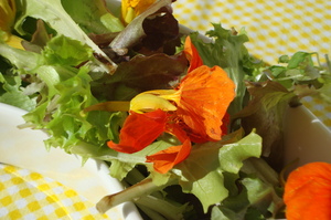 saladwithedibleflowers.JPG