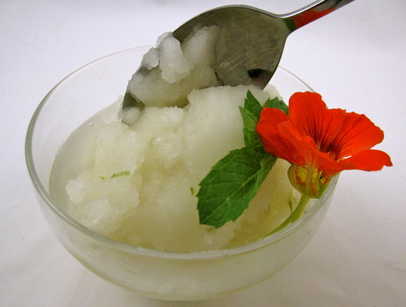 lampman-mojito-sorbet.JPG