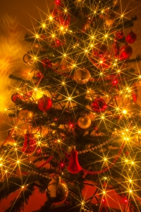 1327969_sparkly_christmas_tree.jpg