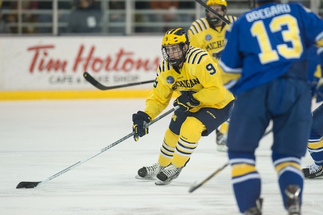 luke-moffatt-michigan-hockey-2013.JPG