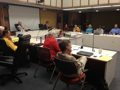 Ann_Arbor_City_Council_071513_RJS_001.jpg