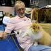 Jack Nichols of Omaha, Nebraska, plays with his 5-month-old red and white Persian kitten at The Cat Fanciers' Association Cat Show. Angela J. Cesere | AnnArbor.com