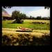 An MSU student home for the summer starts her break with an afternoon soaking in the sun. (jennachabot)