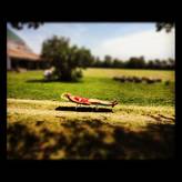 InstaMonday: Weekend photos from around Ann Arbor