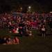 People gathered in Manchester's Carr Park on a rainy Wednesday evening to watch the annual fireworks show.
Courtney Sacco I AnnArbor.com 