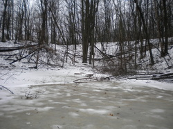 Rains eradicate tracks, micro-organisms survive under ice