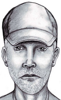 Police release sketch of suspect in violent Pittsfield Township home ...