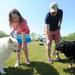 Ann Arbor residents Amy Small, right, and 10-year-old Marisa DiGiuseppe hold up spoons with peanut butter for their dogs Kali, left, and Tillie, right, during the Walk and Wag fundraiser for the Humane Society of Huron Valley at Rolling Hills Park on Saturday morning. Angela J. Cesere | AnnArbor.com