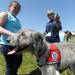 South Lyon resident Gail Morad, right, watches as Erin Overholser, a volunteer, pets her dog Draper, an Irish Wolfhound, who is trained as a Therapaws therapy dog during the Walk and Wag fundraiser for the Humane Society of Huron Valley at Rolling Hills Park on Saturday morning. Angela J. Cesere | AnnArbor.com