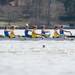 The 2013 Mid-American Rowing Association championships held on Ford lake in Ypsilanti Township, Saturday April 27.
Courtney Sacco I AnnArbor.com  