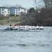 The 2013 Mid-American Rowing Association championships held on Ford lake in Ypsilanti Township, Saturday, April 27.
Courtney Sacco I AnnArbor.com  