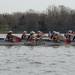 The 2013 Mid-American Rowing Association championships held on Ford lake in Ypsilanti Township, Saturday, April 27.
Courtney Sacco I AnnArbor.com  