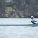 The 2013 Mid-American Rowing Association championships held on Ford lake in Ypsilanti Township, Saturday, April 27.
Courtney Sacco I AnnArbor.com  