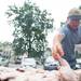 Gregg Umstead lays out chicken for the St. James Church chicken broil during Dexter Daze Saturday, August, 10.
Courtney Sacco I AnnArbor.com  