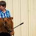 A boy and his calf wait for the start of judging at the Chelsea Community Fair Wednesday, August, 21. 
Courtney Sacco I AnnArbor.com 