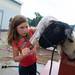 Katelyn Jedele, age 7, washes her sheep before judging at the Chelsea Community Fair Wednesday, August 21. Courtney Sacco I AnnArbor.com 