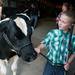 Reid waits with calve for the start of the feeder calf judging at the Chelsea Community Fair Wednesday, August 21. 
Courtney Sacco I AnnArbor.com 